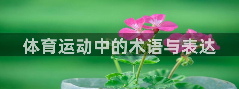 一竞技官网下载平台APP：体育运动中的术语与表达