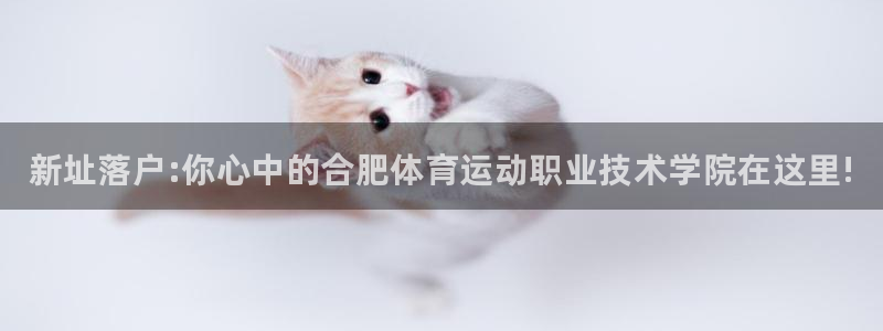 一竞技官方正版app娱乐首页官网下载：新址落户:你心