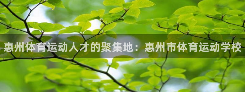 一竞技官方正版app娱乐：惠州体育运动人才的聚集地：