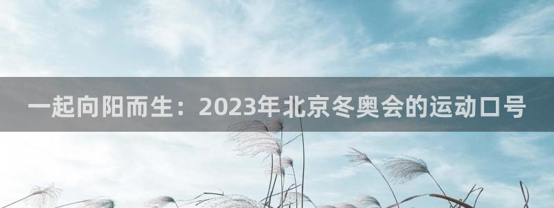 一竞技官方正版app代理：一起向阳而生：2023年北