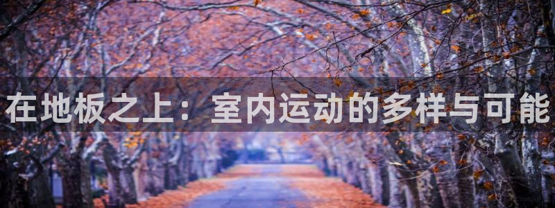 一竞技官方正版app新能源：在地板之上：室内运动的多