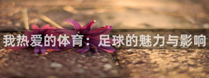 一竞技官网下载招商电话地址是多少