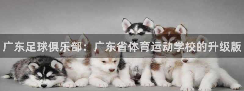 一竞技官网下载平台：广东足球俱乐部：广东省体育运动学校的升级