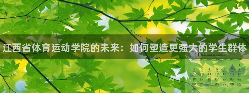 一竞技官网下载平台是正规平台吗知乎：江西省体育运动学