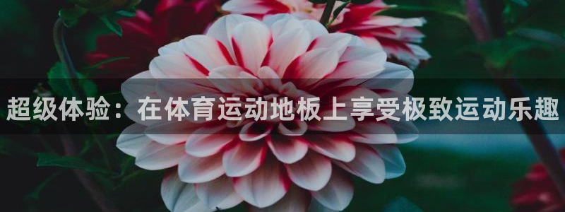 海南一竞技官网下载：超级体验：在体育运动地板上享受极