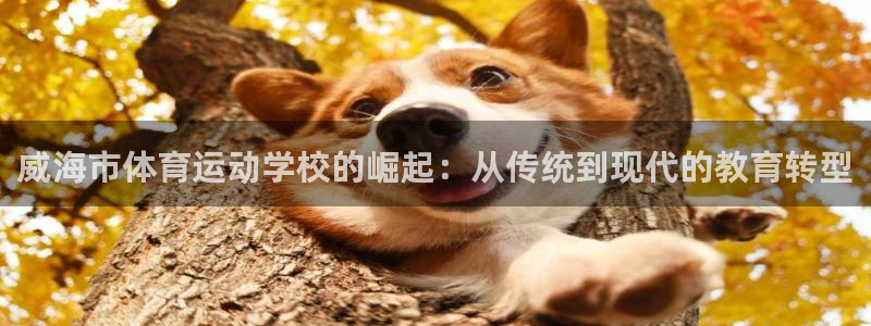 一竞技官方正版app娱乐40996：威海市体育运动学校的崛起