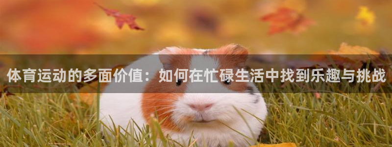 一竞技官方正版app神州：体育运动的多面价值：如何在忙碌生活