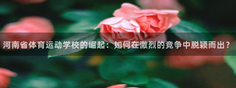 一竞技官方正版app神州