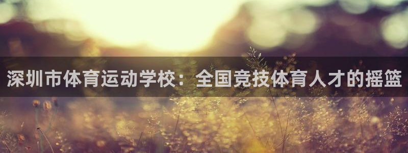 一竞技官方正版app娱乐代理怎么样：深圳市体育运动学校：全国