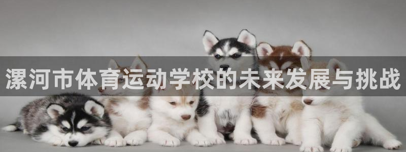 一竞技官网下载平台APP：漯河市体育运动学校的未来发