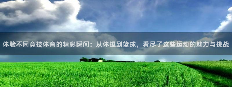 一竞技官网下载平台假的吗是真的吗吗：体验不同竞技体育