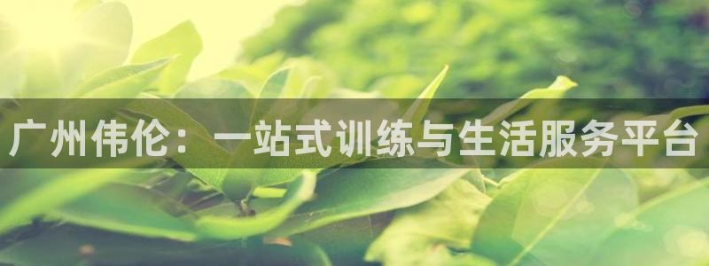 一竞技官方正版app娱乐首页网站大全：广州伟伦：一站