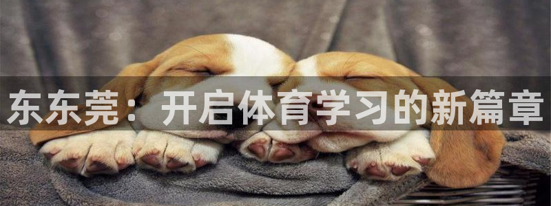 一竞技官网下载平台假的吗是真的吗吗