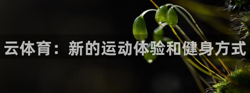 一竞技官网下载招商电话号码是多少啊