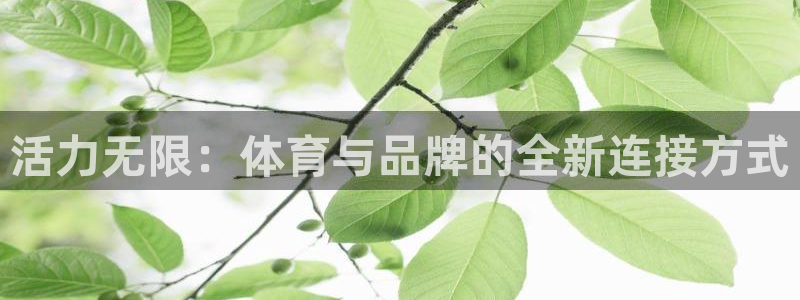注册一竞技官方正版app：活力无限：体育与品牌的全新连接方式