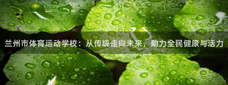 一竞技官网下载开户：兰州市体育运动学校：从传统走向未来，助力