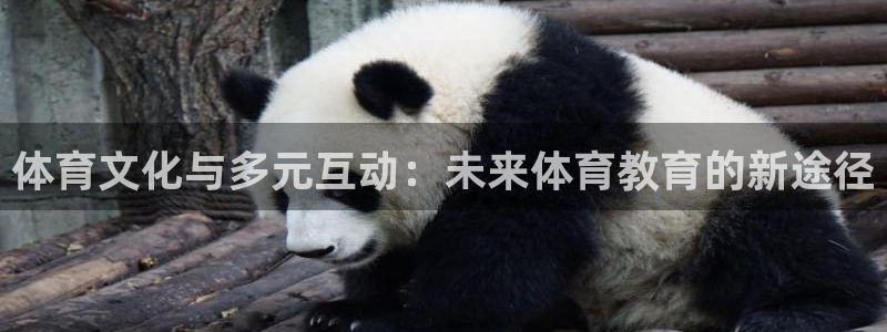 一竞技官网下载开户：体育文化与多元互动：未来体育教育的新途径