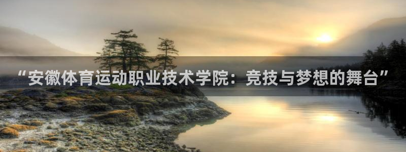 一竞技官方正版app娱乐是那个系列的台子：“安徽体育运动职业