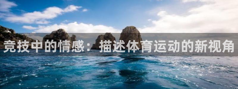 一竞技体育官网：竞技中的情感：描述体