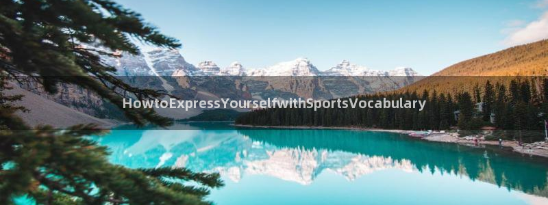 一竞技官网：HowtoExpress