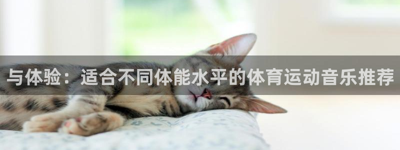 一竞技网页版入口：与体验：适合不同体
