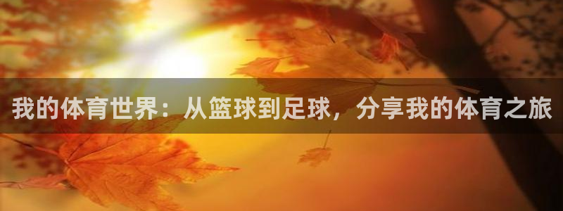 一竞技官网注册流程：我的体育世界：从