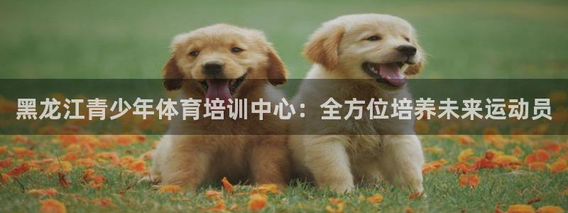 一竞技官网登录入口：黑龙江青少年体育