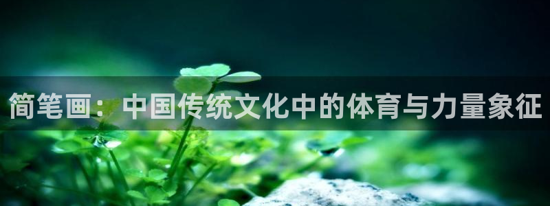 一竞技平台：简笔画：中国传统文化中的