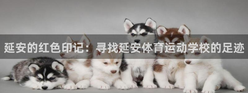 一竞技官网游戏平台：延安的红色印记：