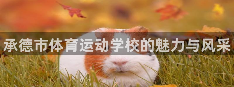 一竞技体育官网：承德市体育运动学校的
