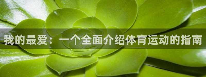 一竞技官网入口登录：我的最爱：一个全面介绍体育运动的指南
