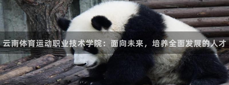一竞技官网导航,一竞技测速站：云南体育运动职业技术学院：面向