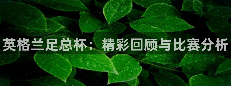 雨燕体育直播吧：英格兰足总杯：精彩回顾与比赛分析