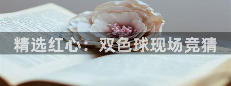 篮球直播在线直播观看免费直播吧：精选红心：双色球现场竞猜