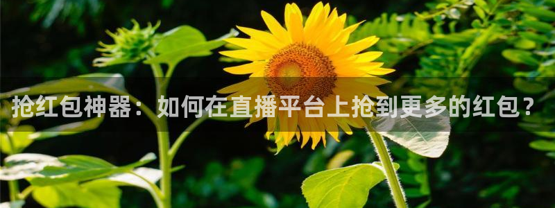 jrs直播nba无插件直播吧：抢红包神器：如何在直播平台上抢到更多的红包？