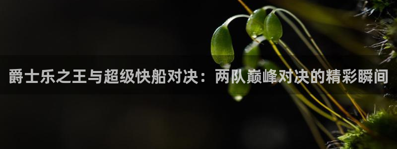 nba直播吧低调看球：爵士乐之王与超级快船对决：两队巅峰对决的精彩瞬间
