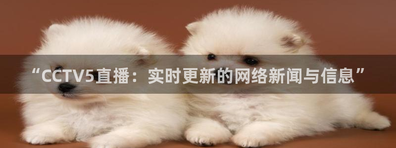 极速直播nba体育直播吧：“CCTV5直播：实时更新的网络新闻与信息”