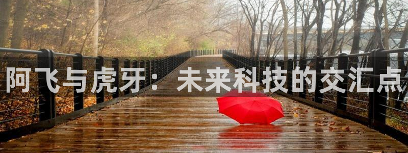 直播吧足球赛事：阿飞与虎牙：未来科技的交汇点