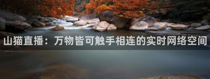 好球体育直播吧：山猫直播：万物皆可触手相连的实时网络空间