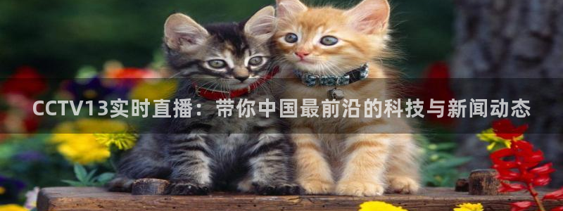 直播直播吧吧：CCTV13实时直播：带你中国最前沿的科技与新闻动态