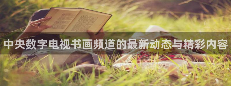 jrs直播吧nba：中央数字电视书画频道的最新动态与精彩内容