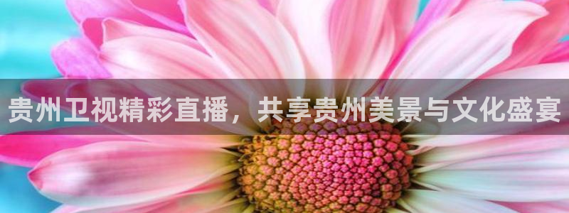 24小时直播网nba直播吧：贵州卫视精彩直播，共享贵州美景与文化盛宴
