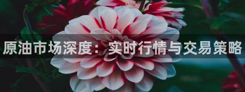so米体育直播吧：原油市场深度：实时行情与交易策略