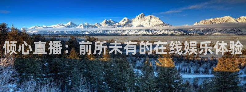 辽宁体育频道在线直播吧：倾心直播：前所未有的在线娱乐体验